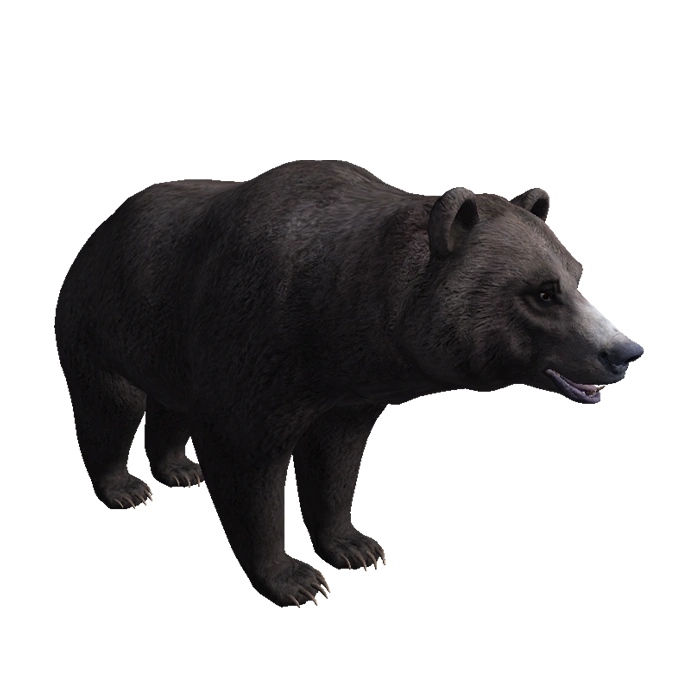 Video Game Animals